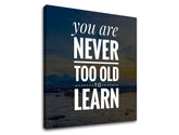 Модерна слика на платно со мотив You are never too old, океан, планини, небо, плажа во бело нијанси, природа и мудрост, погоден за канцеларија – производ