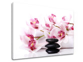 Класична слика на платно со мотив FENG SHUI, детски мотив, цвеќиња, море и плажа, природа во бело-беж нијанси, мирна атмосфера, погоден за дневна соба – производ
