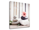 Класична слика на платно со мотив FENG SHUI, цвеќиња, природа во бело-беж нијанси, мирна атмосфера, природа, погоден за дневна соба | Слика на платно FENG SHUI_053-12 – производ