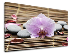 Класична слика на платно со мотив FENG SHUI, орхидеја, цвеќиња, природа во кафеаво-розово нијанси, мирна атмосфера, природа, погоден за дневна соба – главна