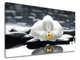 Класична слика на платно со мотив FENG SHUI, цвеќиња, природа во бело-црно нијанси, мирна атмосфера, природа, погоден за дневна соба | Слика за ѕид FENG SHUI – главна