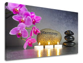 Класична слика на платно со мотив FENG SHUI, цвеќиња, природа во розово-црно нијанси, мирна атмосфера, внатрешен мир и природа, погоден за дневна соба – главна