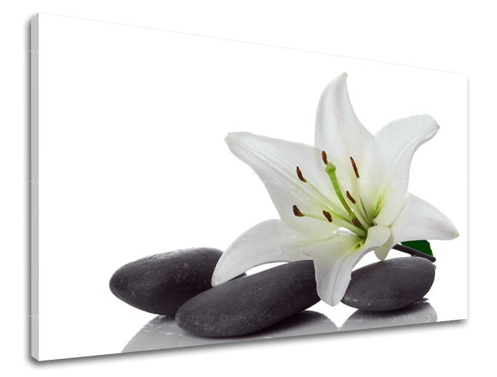 Класична слика на платно со мотив FENG SHUI, цвеќиња, природа во бело-зелено нијанси, мирна атмосфера, природа, погоден за дневна соба | Слика за ѕид FENG SHUI – главна