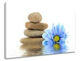 Класична слика на платно со мотив FENG SHUI, одраз на вода, цвеќиња, мапа, природа во бело-кафеаво нијанси, мирна атмосфера, погоден за дневна соба – главна