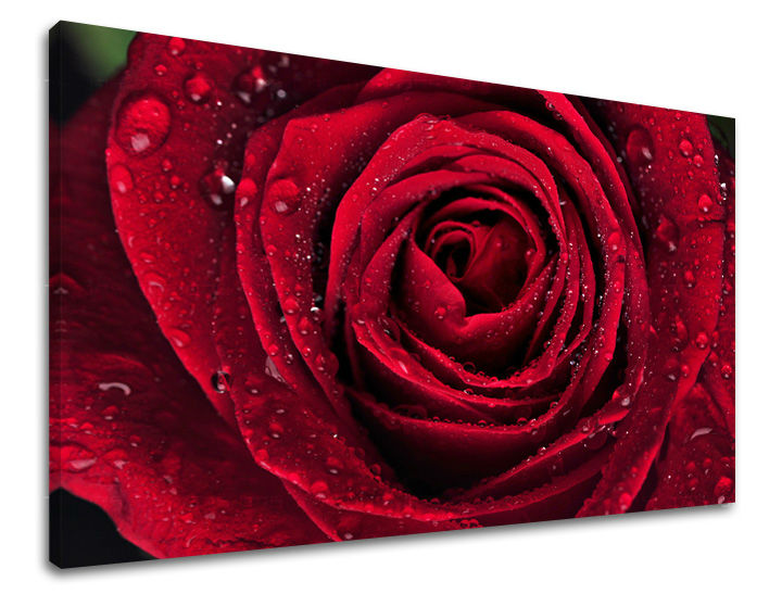 Класична слика на платно со мотив роза, цвеќиња, природа во црвено нијанси, романтична атмосфера, љубов и природа, погоден за кујна | Слика за ѕид ЦВЕЌИЊА – главна