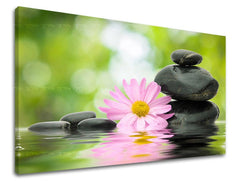 Класична слика на платно со мотив FENG SHUI, природа во розово-зелено нијанси, мирна атмосфера, хармонија, погоден за дневна соба | Слика за ѕид FENG SHUI – главна