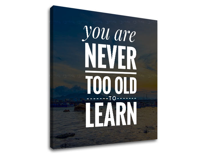 Модерна слика на платно со мотив You are never too old, океан, планини, небо, плажа во бело нијанси, природа и мудрост, погоден за канцеларија – производ