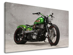 Ѕидна уметност MOTO MO002E11