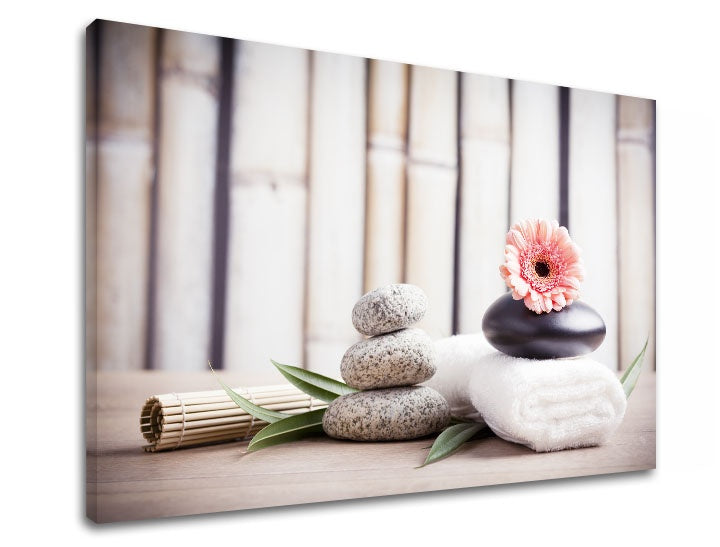 Класична слика со мотив FENG SHUI, бамбус, цвеќиња во беж-розово нијанси | Слика на платно FENG SHUI_053-11, природа – преглед