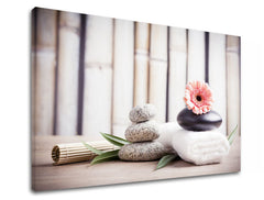 Класична слика на платно со мотив FENG SHUI, бамбус, цвеќиња, природа во беж-розово нијанси, мирна атмосфера, природа, погоден за дневна соба – производ