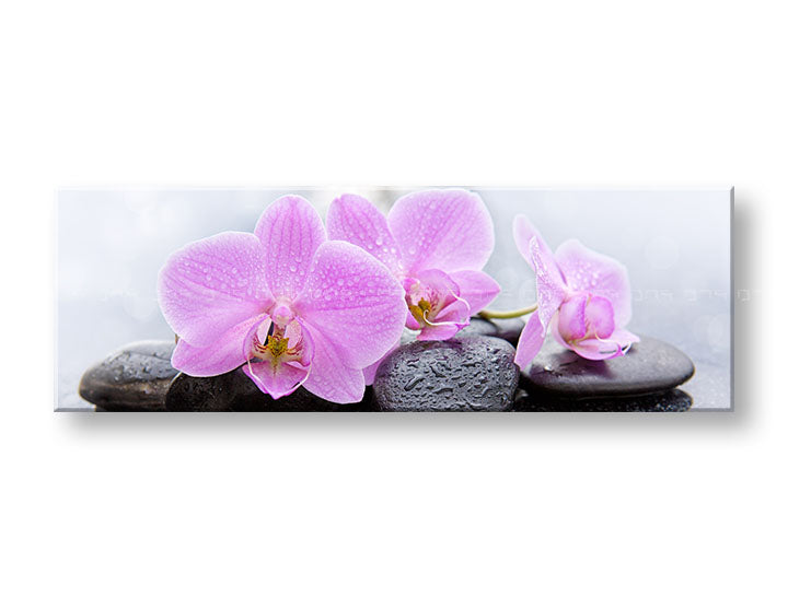 Класична слика на платно со мотив FENG SHUI, цвеќиња, природа во бело-розово нијанси, мирна атмосфера, природа, погоден за дневна соба | Слика на платно FENG SHUI_062-13 – главна