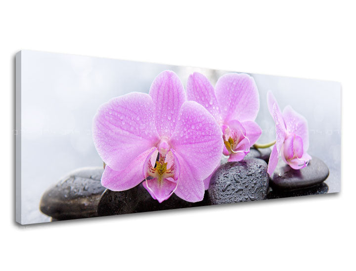 Класична слика на платно со мотив FENG SHUI, цвеќиња, природа во бело-розово нијанси, мирна атмосфера, природа, погоден за дневна соба | Слика на платно FENG SHUI_062-13 – производ