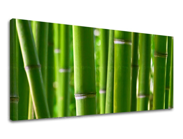 Поп арт слика на платно со мотив ПАНОРАМА RASTLINY, rastliny во зелено нијанси, мирна атмосфера, природа, погоден за дневна соба | Слика за ѕид ПАНОРАМА RASTLINY – главна