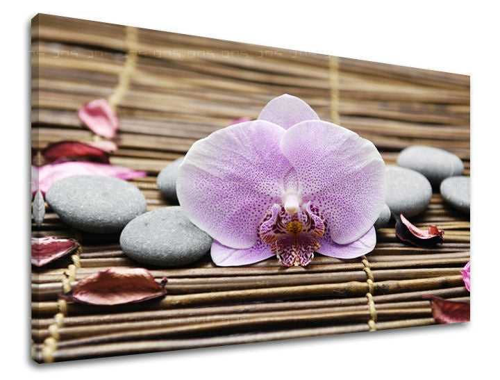 Класична слика на платно со мотив FENG SHUI, орхидеја, цвеќиња, природа во кафеаво-розово нијанси, мирна атмосфера, природа, погоден за дневна соба – главна