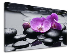 Класична слика на платно со мотив FENG SHUI, орхидеја, цвеќиња, природа во виолетово-црно нијанси, мирна атмосфера, природа и минимализам – главна