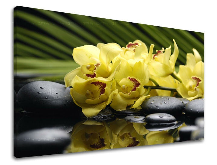 Класична слика на платно со мотив FENG SHUI, пејзаж, природа во зелено-црно нијанси, мирна атмосфера, природа, погоден за дневна соба | Слика за ѕид FENG SHUI – главна