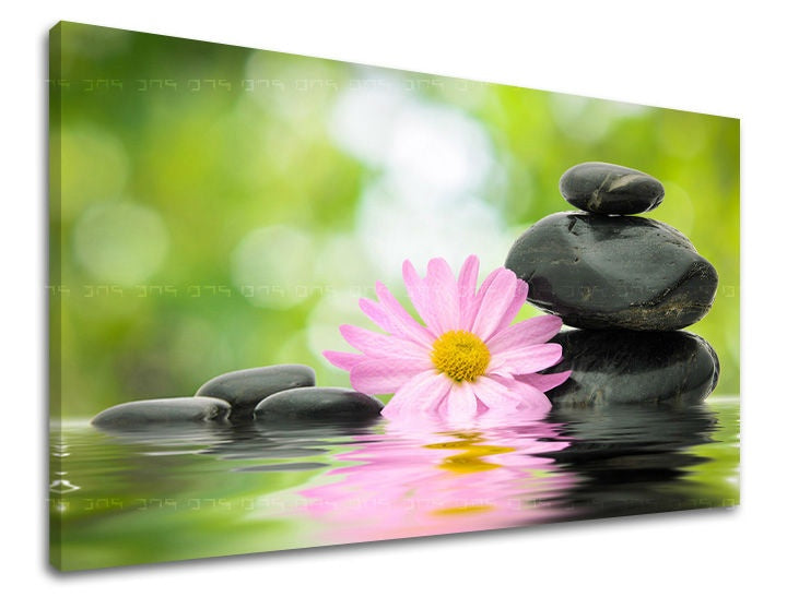 Класична слика на платно со мотив FENG SHUI, природа во розово-зелено нијанси, мирна атмосфера, хармонија, погоден за дневна соба | Слика за ѕид FENG SHUI – главна