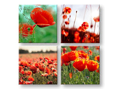 Колаж слика на платно со мотив Meadow of poppy poppies, макови, цвеќиња, поле, мапа во зелено-црвено нијанси, живописна атмосфера, погоден за кујна – главна