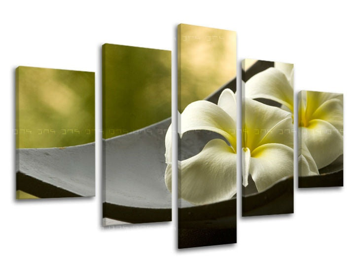 Индустриска слика на платно со мотив FENG SHUI, цвеќиња, мапа, природа во бело-зелено нијанси, мирна атмосфера, природа и тропски рај – главна