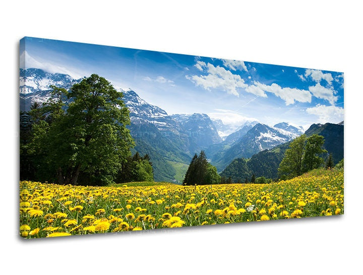Класична слика на платно со мотив ПАНОРАМА KRAJINA, пејзаж, цвеќиња, природа во бело-сино нијанси, мирна атмосфера, природа и пролетна атмосфера – главна