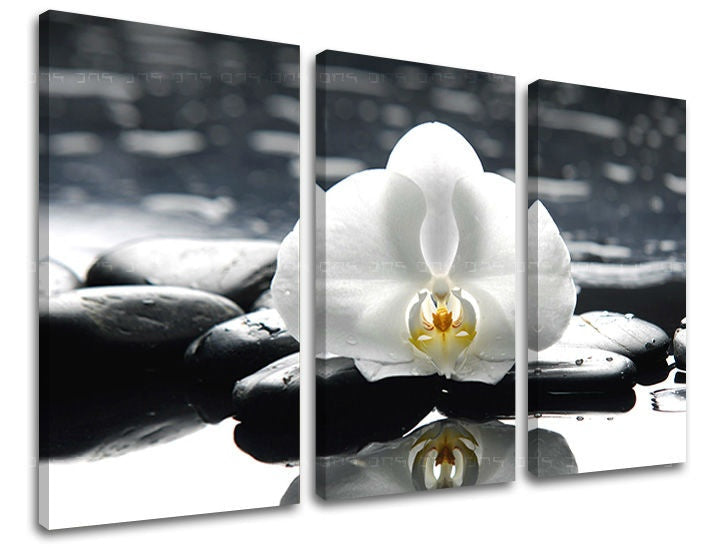 Индустриска слика со мотив FENG SHUI, пејзаж, природа во бело-сиво нијанси | Слика за ѕид FENG SHUI, минимализам – преглед
