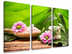 Класична слика на платно со мотив FENG SHUI, природа во бело-розово нијанси, мирна атмосфера, природа, погоден за дневна соба | Слика за ѕид FENG SHUI – главна